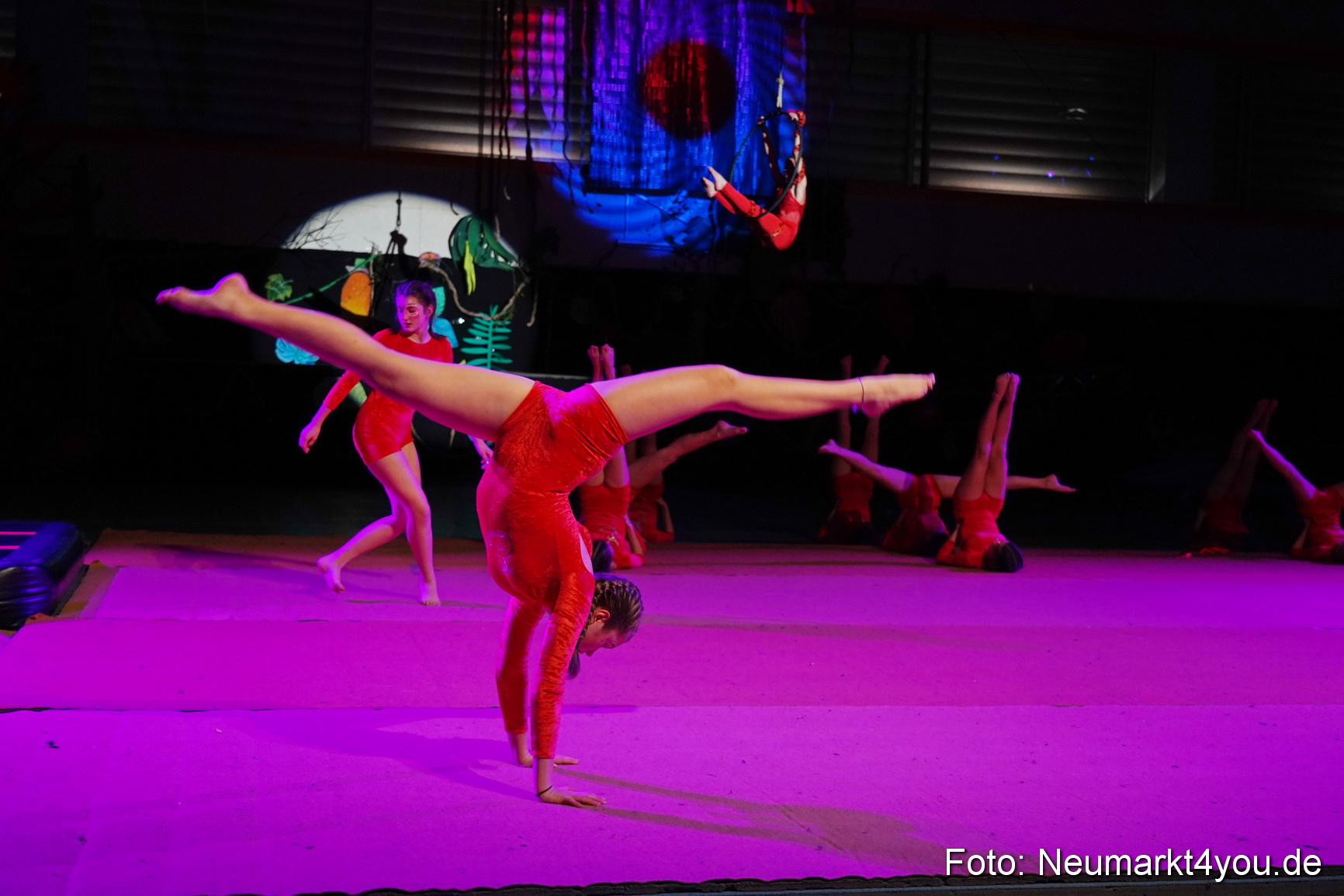 Artico Artistical Dschungelbuch 2020 0093